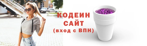 крисы Киренск